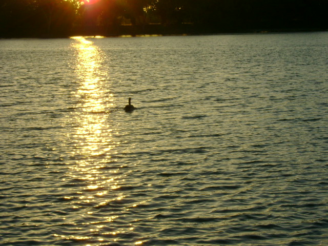 Lodi Lake Sunset