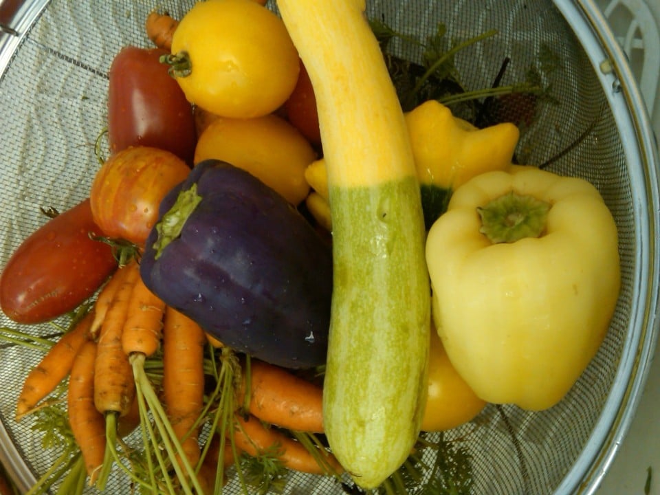Colorful Veggies