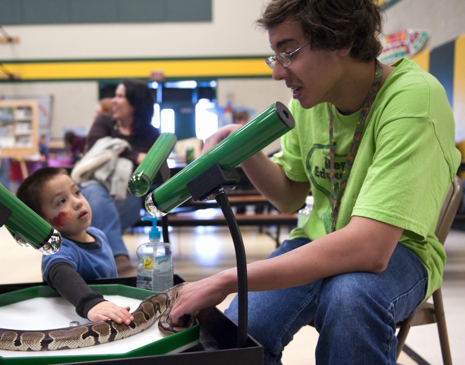 Galt Winter Bird Festival showcases the area’s animals, insects