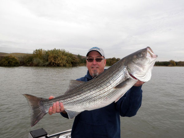 Catch of the Week