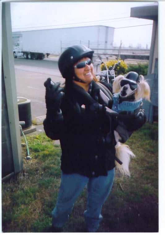 poopoo going for a harley ride