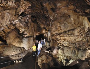 Head out to Lake Shasta Caverns for an adventure into an underground paradise