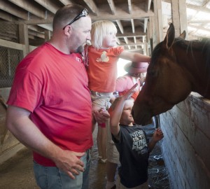 Jack Tone Ranch showcases ‘beautiful, powerful’ Arabian horses