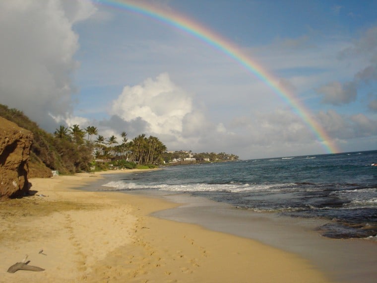 beach Of Hawaii