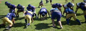 2012 Tokay Tigers football preview 