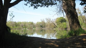 River walks: Nearby routes offer beauty, serenity