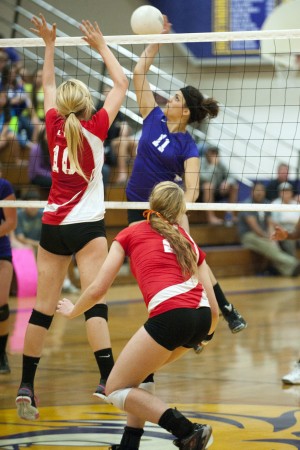 Flames, Tigers set tone early 