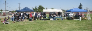 Saturday crowd thin but steady at Lodi Flea Market