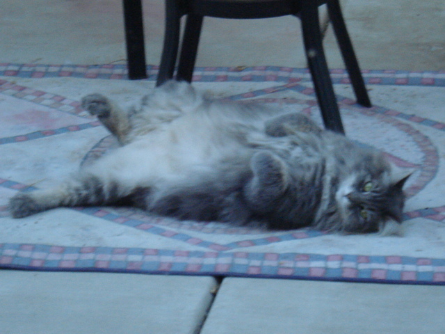 Chillaxing