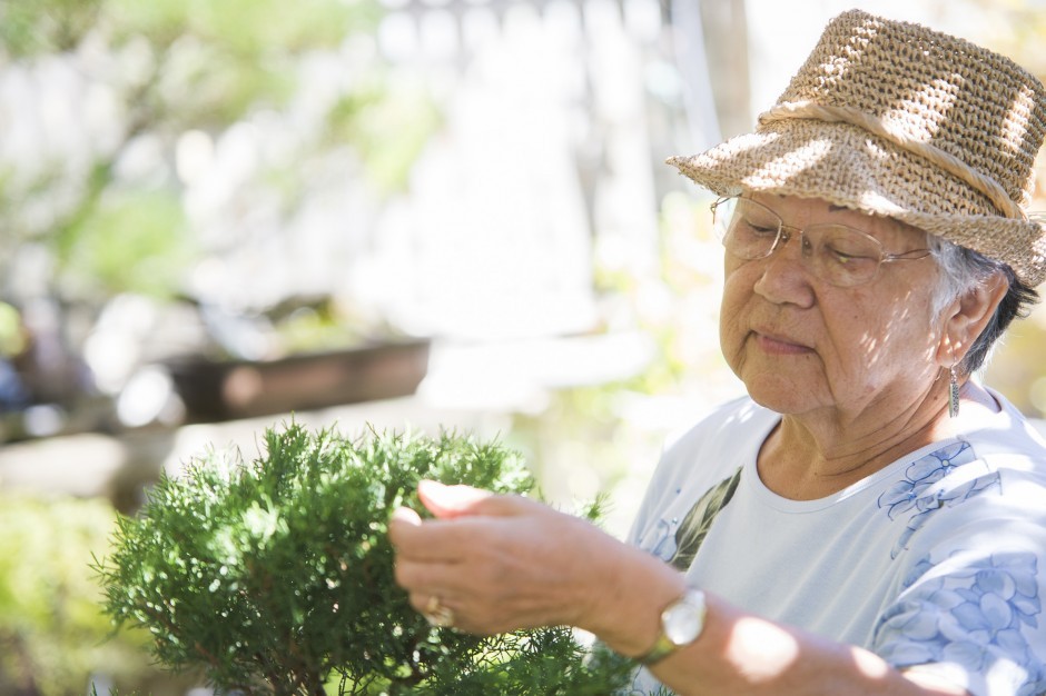 Merry Sasaki helps nurture a garden of trees into skillfully designed bonsai