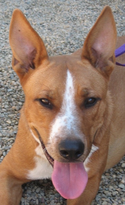 Duke