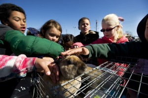 Lodi students flock outside for AgVenture