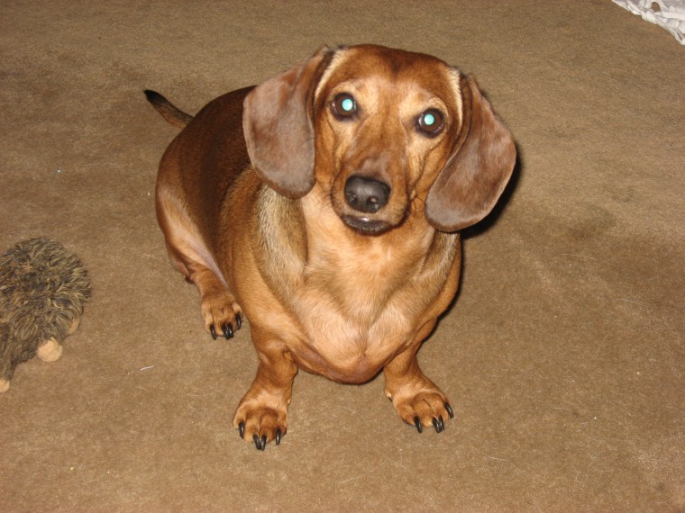 Our Little Max