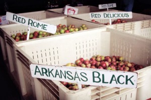 The best of apple country