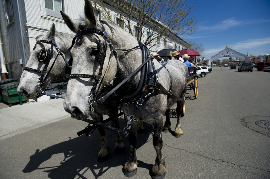All Seasons Carriage offers historic tours of Lodi