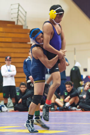 Wrestling: Six Tigers take titles as Tokay ends league drought