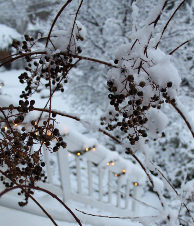 Snow on steps