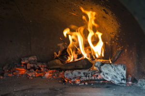Wood-fired pizza makers Nick and Shelly Guantone share love for food