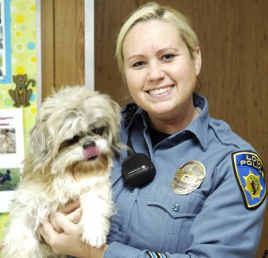 Protect your pet from cold weather, holiday decorations