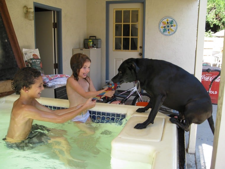 Grandchildren with aunt's dog