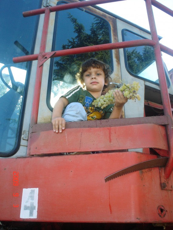 Noah on HIS harvester