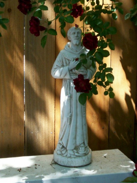 st.francisandtheroses