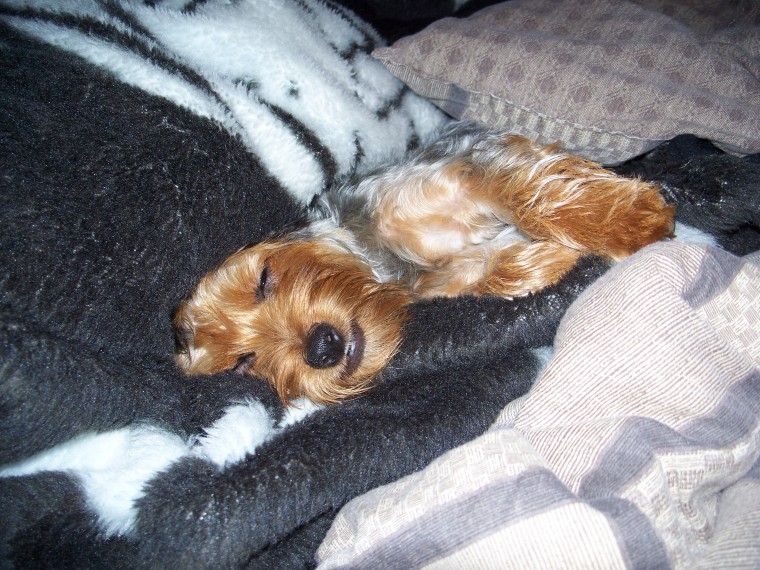 Nap Time