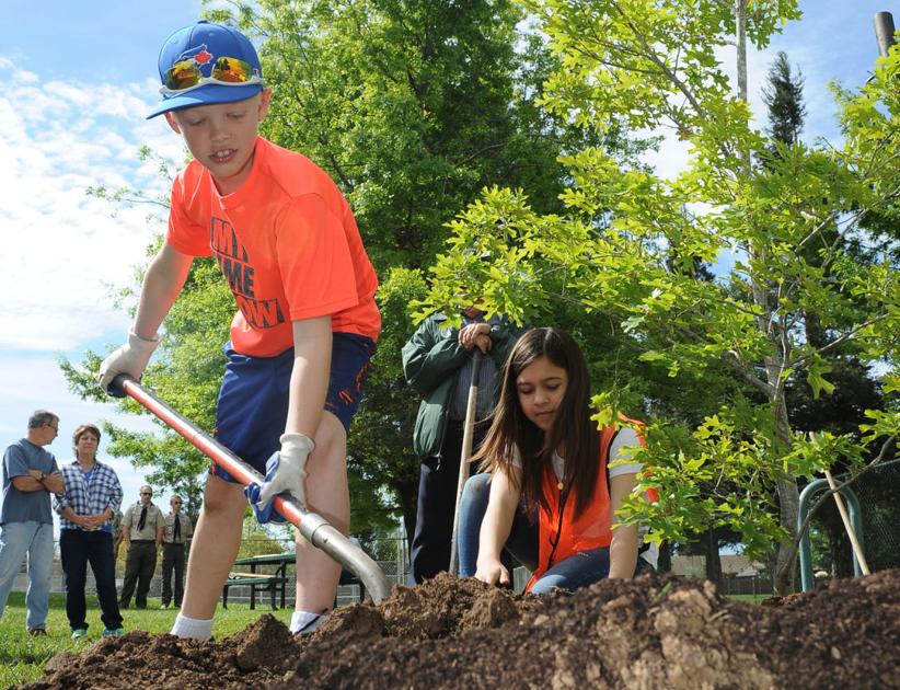 arbor day at peterson park in lodi lodinews com news west sacramento public works