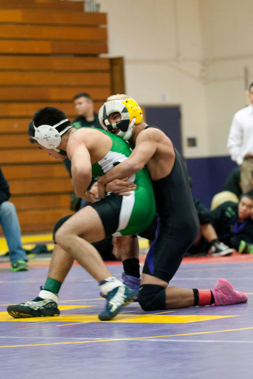 Wrestling: Six Tigers take titles as Tokay ends league drought