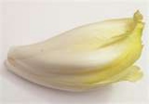 Endive