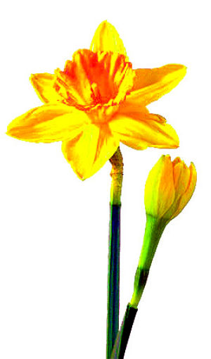 Lodi welcomes you, Springtime