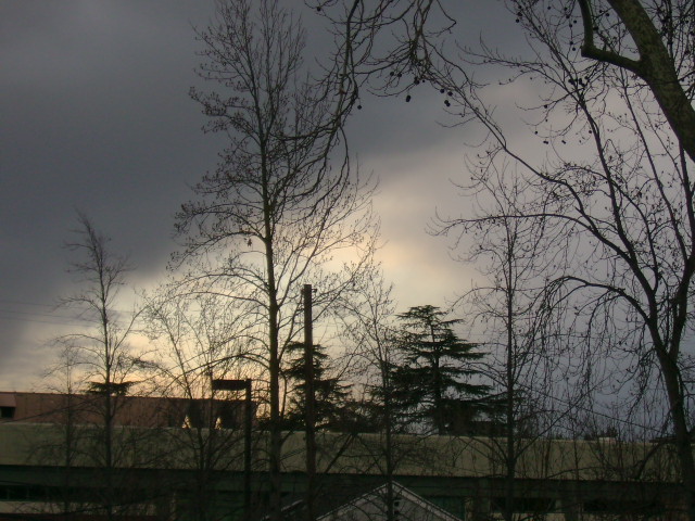 dsc00167.jpg