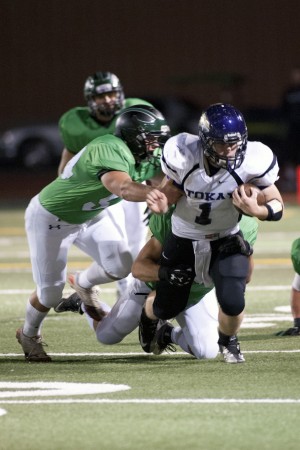 Quick exit for Tigers as the Pride prevails