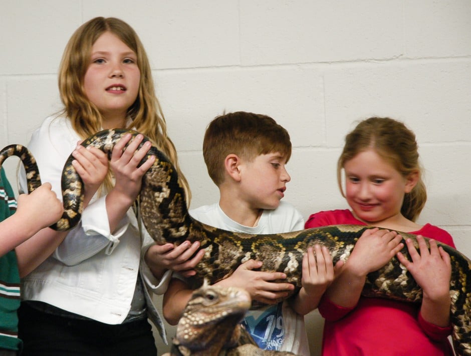 Slithering around with reptiles at World of Wonders Science Museum