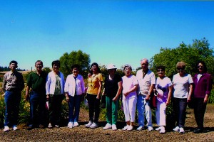 Escape to Amador Castle Farm, Castle Air Museum