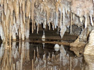 Head out to Lake Shasta Caverns for an adventure into an underground paradise