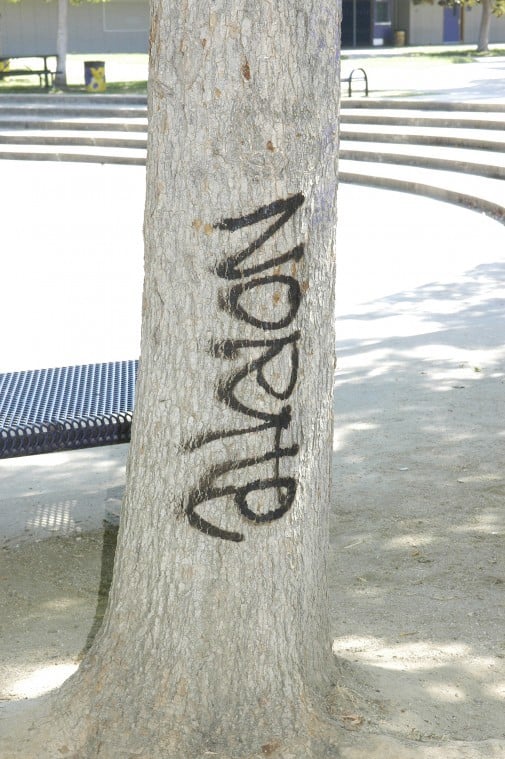 Gang-related graffiti covered walls, trees at Tokay High School