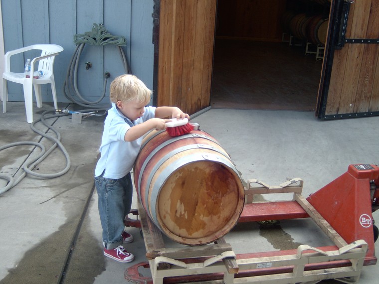 Wine Making