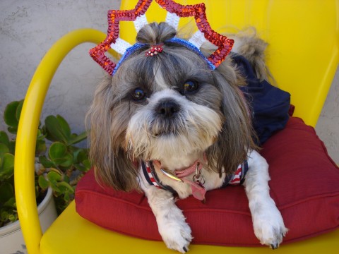 Happy 4th