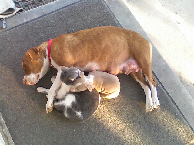 Friends