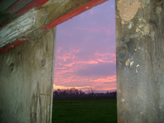 dsc00091.jpg