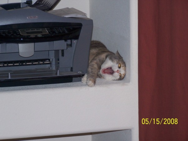 Tired of waiting for her fax
