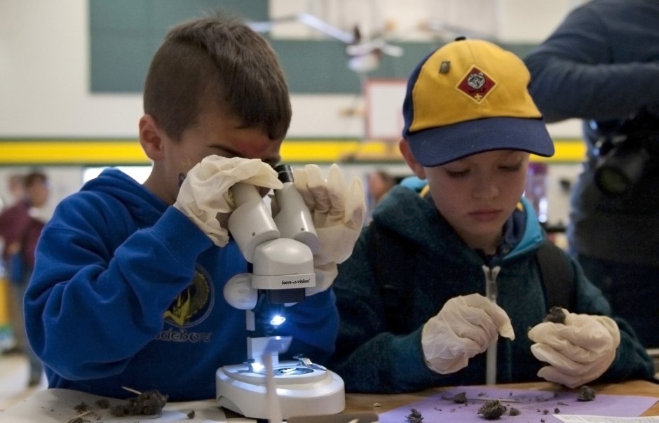 Galt Winter Bird Festival showcases the area’s animals, insects