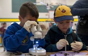 Galt Winter Bird Festival showcases the area’s animals, insects