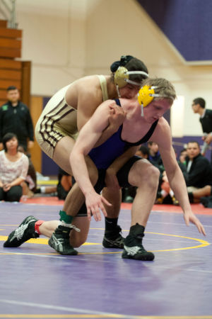 Wrestling: Six Tigers take titles as Tokay ends league drought