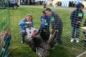 Ag Venture held at Lodi Grape Festival Grounds