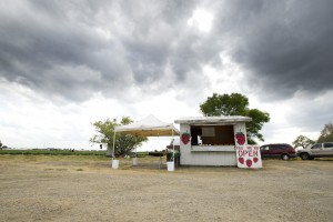 Lodi City Council approves annexing 30 acres — currently strawberry fields — for new office building development