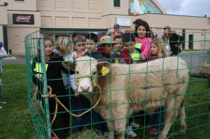 Ag Venture held at Lodi Grape Festival Grounds