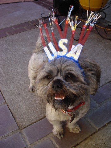 Happy 4th from Gadget