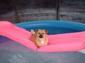 Pool time